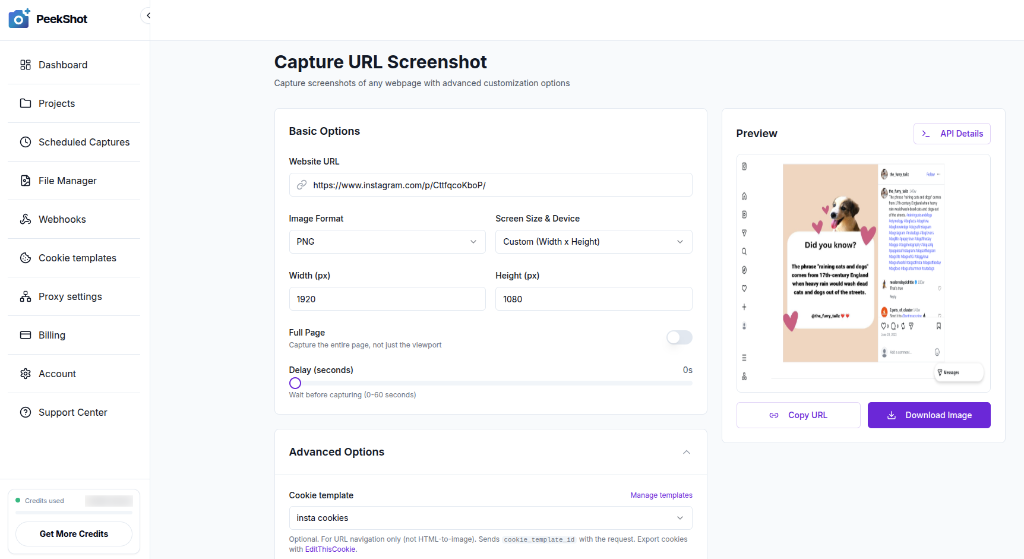 Capturing an Instagram post using a Cookie Template in the PeekShot dashboard